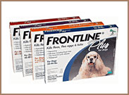 Frontline Plus for Dogs