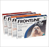Frontline Plus