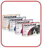 Frontline Plus for Dogs
