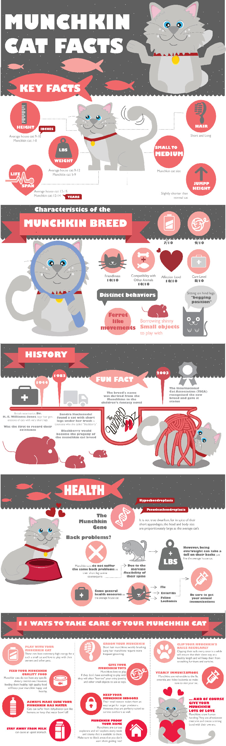 Going Green With Your Pet / Infographic