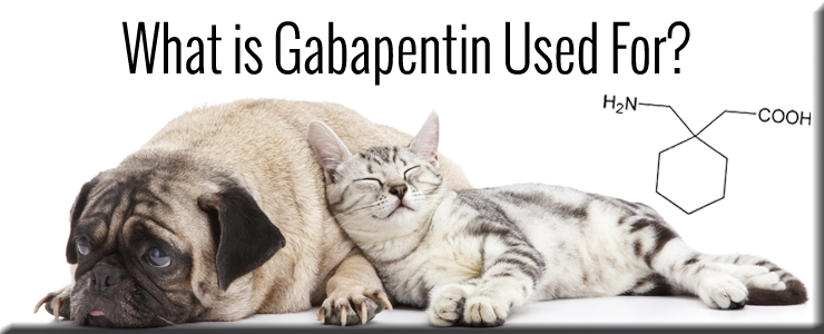 Gabapentin Side Effects