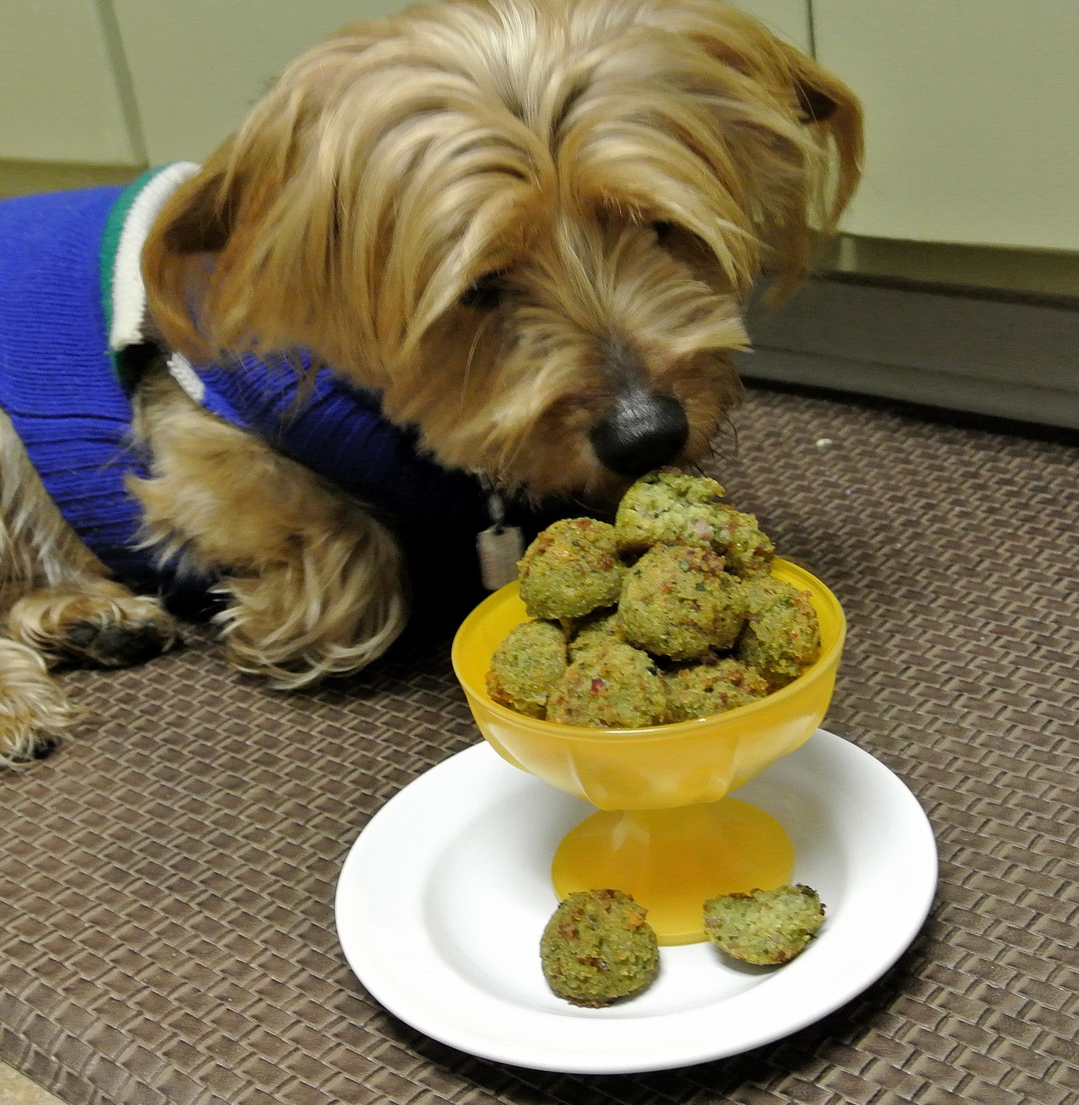 Green Eggs & Ham Dog Food Recipe