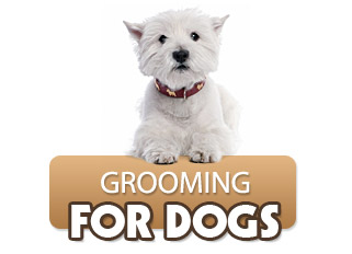 Dog Grooming Tips