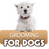 link to Grooming Your Dog