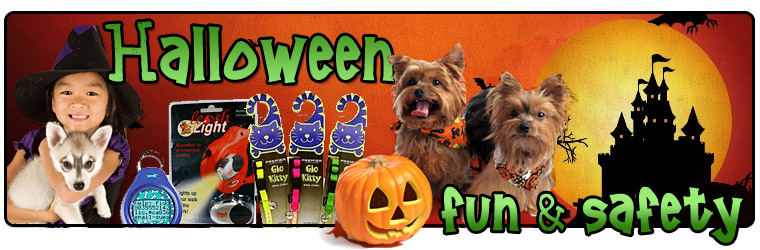 Halloween Fun & Safety