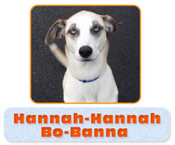 Hanna Hanna Bobana