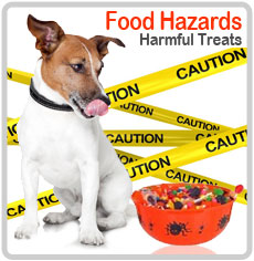 Food Hazards
