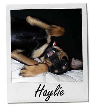 Pet of the Week photo