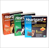 Heartgard Plus
