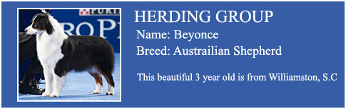 Herding Group