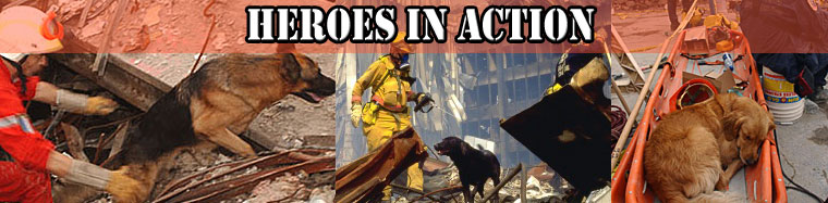 Heroes in Action