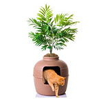 Hidden Litter Box