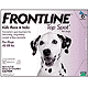 Frontline Frontline