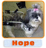 Hope