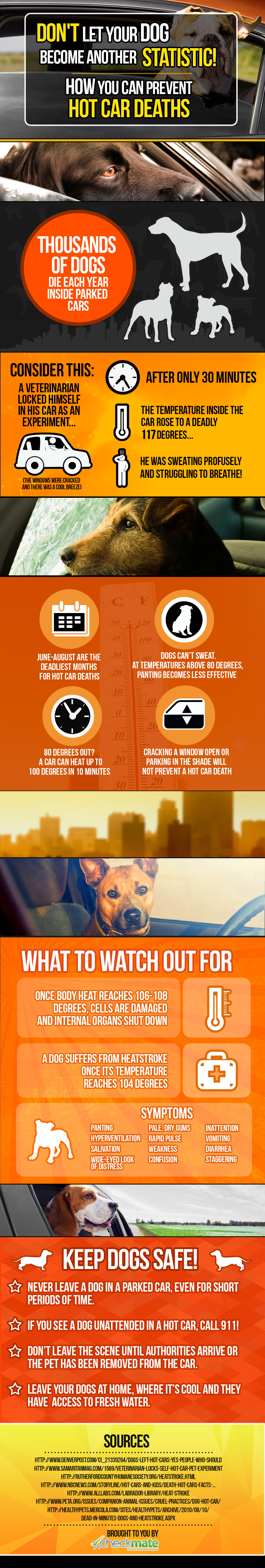 Dogs Are Dying in Hot Cars - How to Save Them [Infographic]