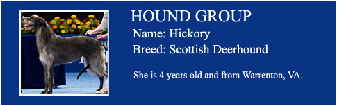 Hound Group