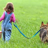 link to How To Help Children Mourn The Loss Of A Pet