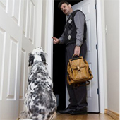 link to How To Help Your Pet Deal With Separation Anxiety