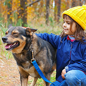 link to How to Maintain Your Pets Joints
