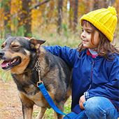 link to How to Maintain Your Pets Joints