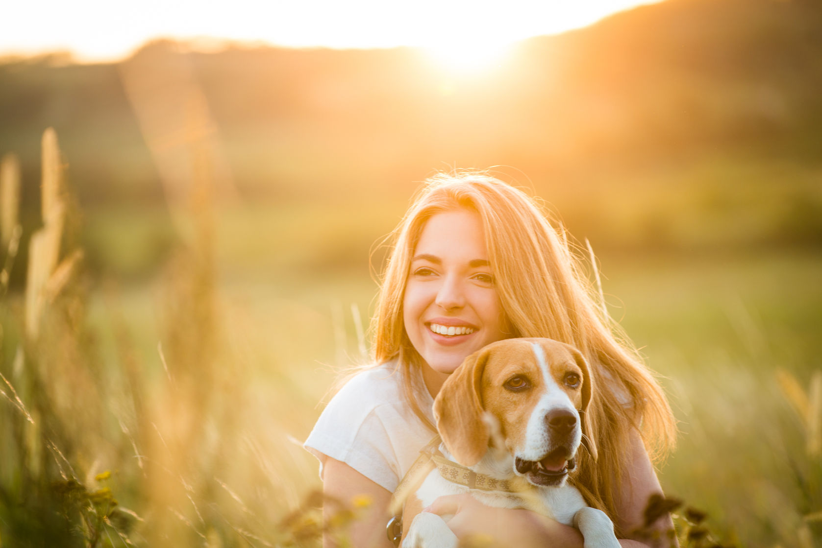 Make Your Dog Snapchat Famous