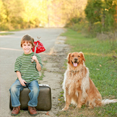 link to My Dog has Fleas: How Do I Get Rid Of Them?