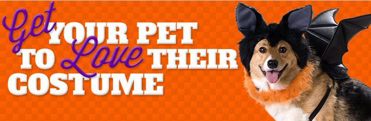 Preparing Your Pet For Fall