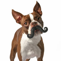 Humunga Stache Ball
