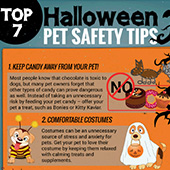 link to 10 Must-have Products for Pet Owners