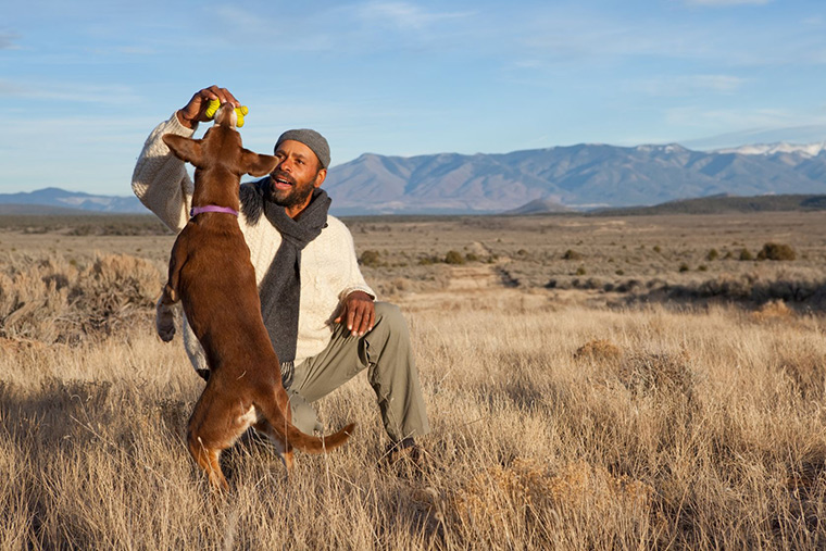 Playfull dog