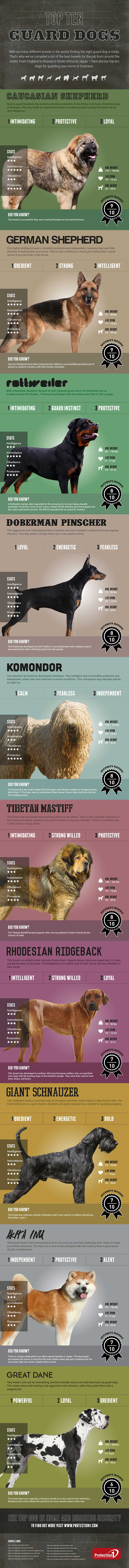 The World's Top Ten Guard Dogs Infographic