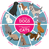 link to Catdawgdiabeetus