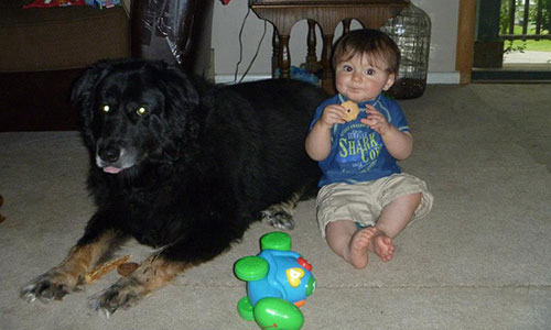 Pet of the Week