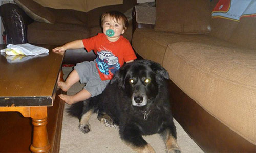 Pet of the Week