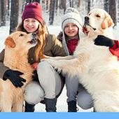 link to My Dog has Fleas: How Do I Get Rid Of Them?