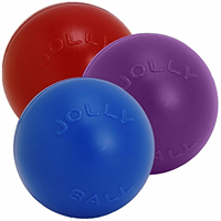 Jolly Pets Push-N-Play Jolly Ball 