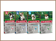 K9 Advantix II
