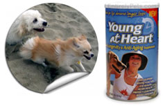 Animal Naturals K9 Young At Heart - Longevity & Anti Aging