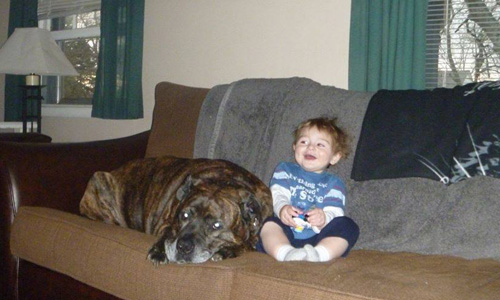 Pet of the Week