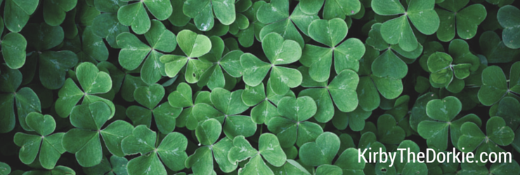 St. Patrick's Day Green Dog Beer Recipe