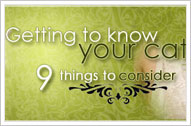 Getting to Know Your Cat