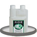 KOE