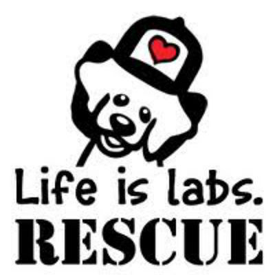 Life is Labs