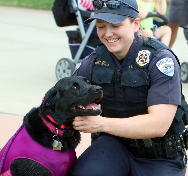 Lilly the Dock Diving Lab