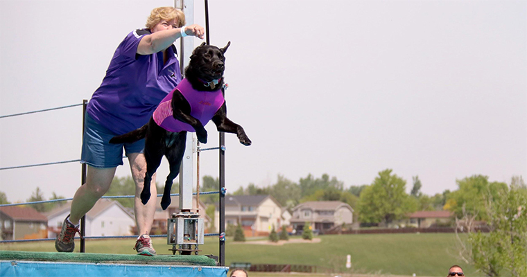 Top 10 Places to Take Your Pet on the West Coast