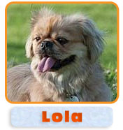 Lola