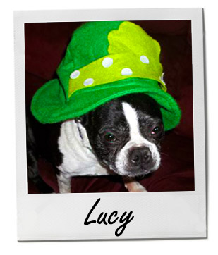 Pet of the Week photo