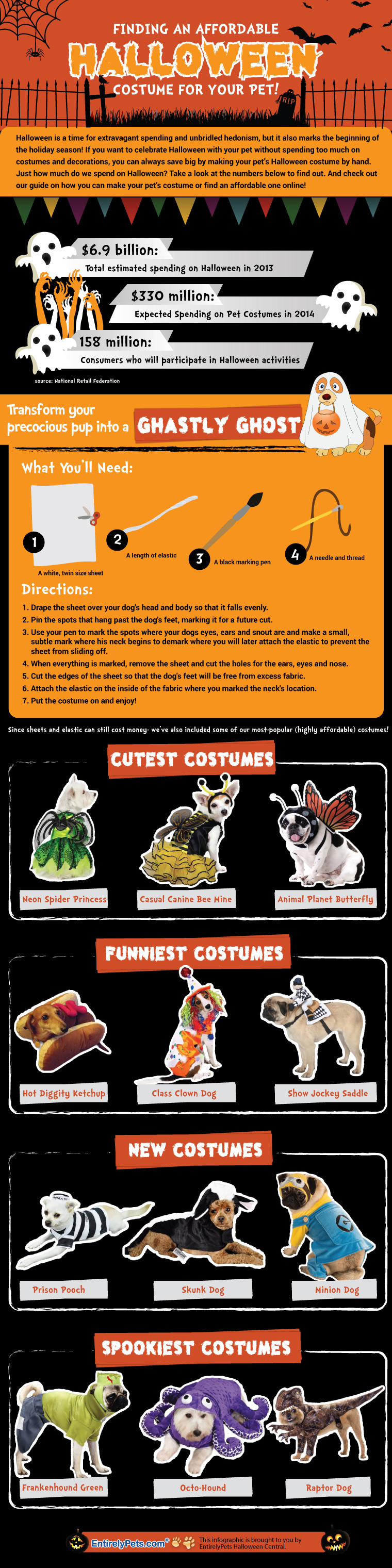 Going Green With Your Pet / Infographic