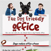 link to My Dog has Fleas: How Do I Get Rid Of Them?