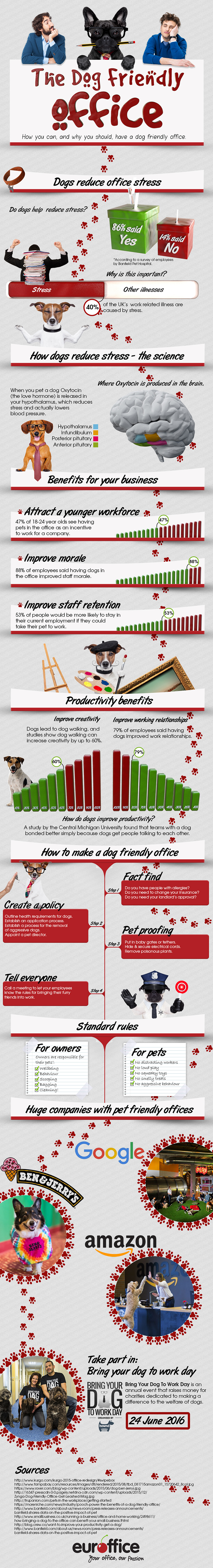 Making Your Office Pet Friendly
